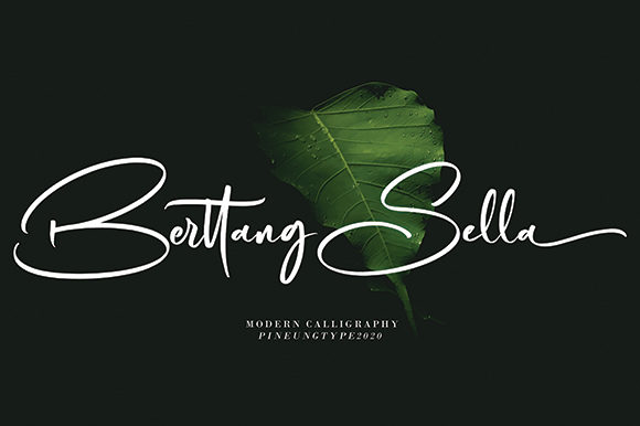 Berttang Sella: The Elegant Typeface for Brand Identity
