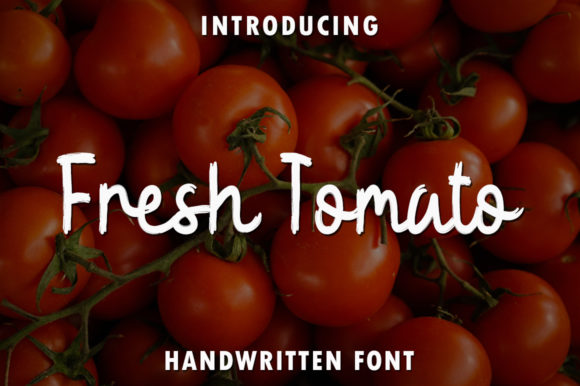 Fresh Tomato: The Handwritten Typeface for Scroll-Stopping Brand Content